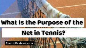 What Is the Purpose of the Net in Tennis